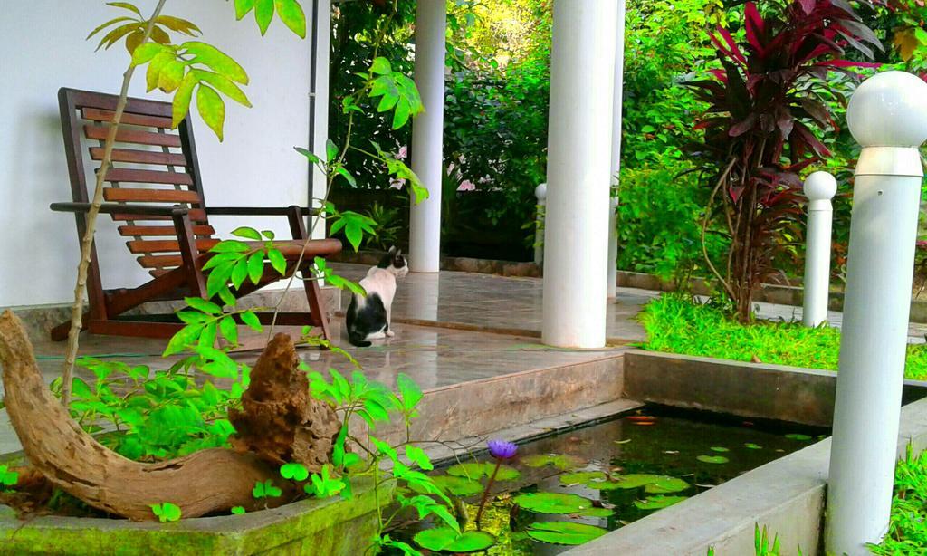 River Retreat Sigiriya Exterior foto