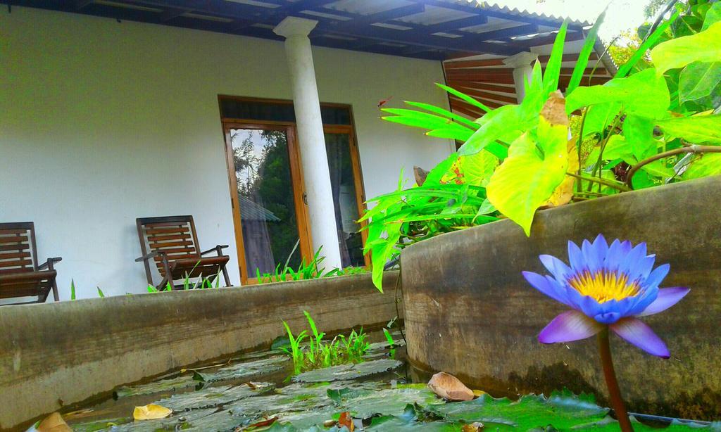 River Retreat Sigiriya Exterior foto
