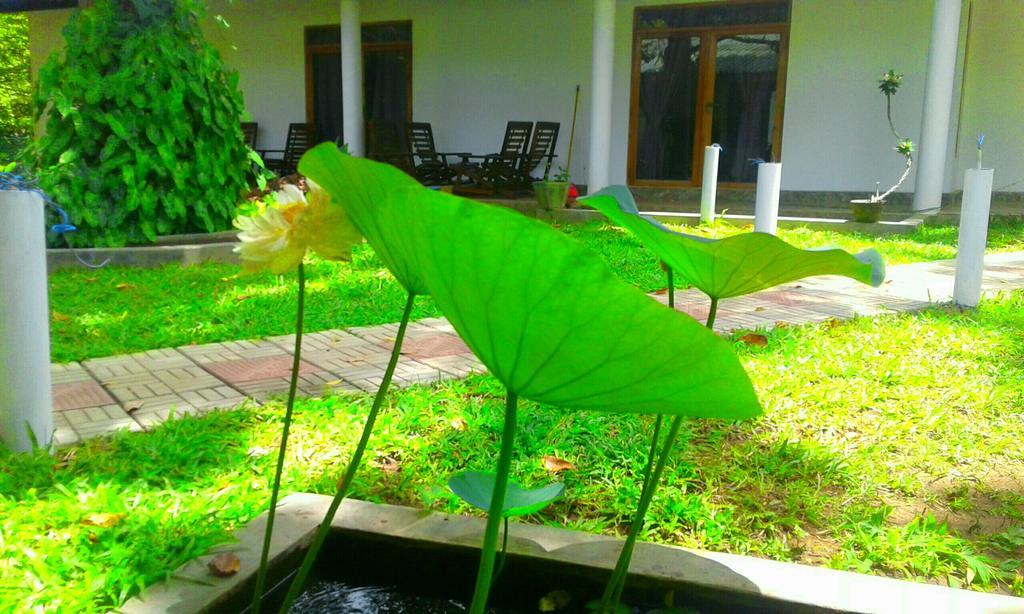 River Retreat Sigiriya Exterior foto