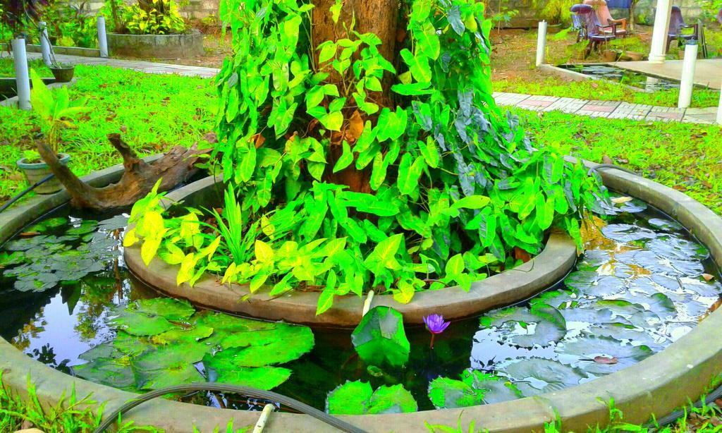 River Retreat Sigiriya Exterior foto