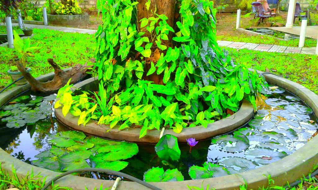 Hotel River Retreat Sigiriya Exterior foto